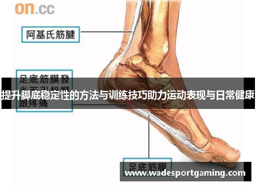 提升脚底稳定性的方法与训练技巧助力运动表现与日常健康