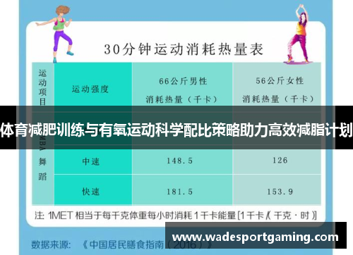 体育减肥训练与有氧运动科学配比策略助力高效减脂计划
