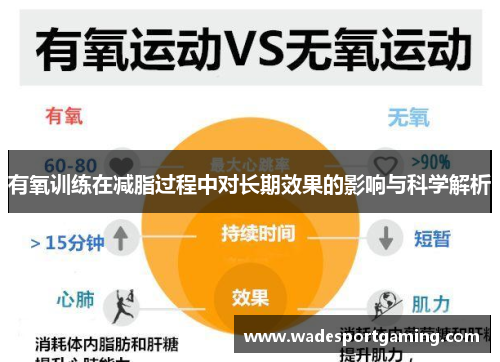 有氧训练在减脂过程中对长期效果的影响与科学解析